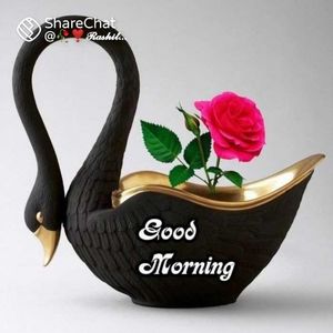 Meet your Posher, Rajib